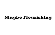 Ningbo Flourishing Precision Electron Co.,Ltd.